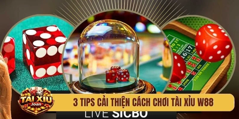 3 tips cải thiện cách chơi tài xỉu W88