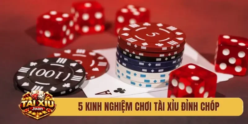 5 kinh nghiệm chơi tài xỉu đỉnh chóp