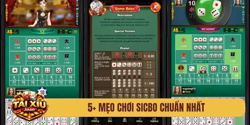 5+ mẹo chơi sicbo chuẩn nhất