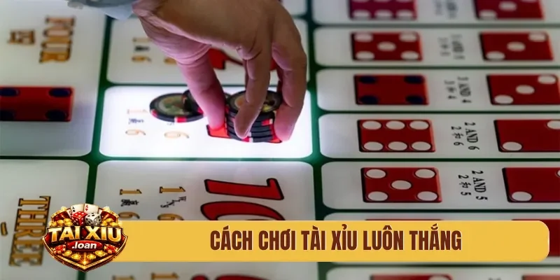 cách chơi tài xỉu luôn thắng