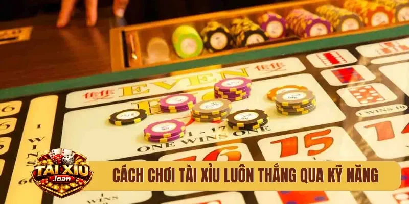 Cách chơi tài xỉu luôn thắng qua kỹ năng