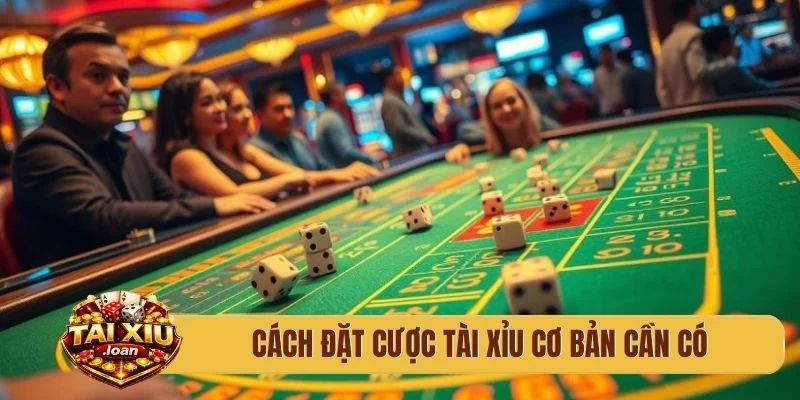 Cách đặt cược tài xỉu cơ bản cần có