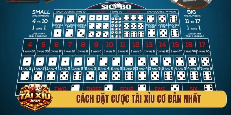 Cách đặt cược tài xỉu cơ bản nhất