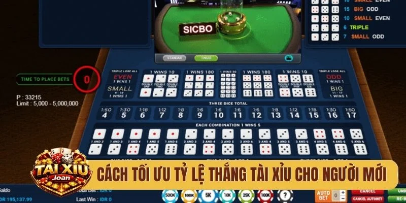 Cách tối ưu tỷ lệ thắng tài xỉu cho người mới