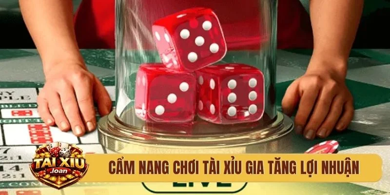 Cẩm nang chơi tài xỉu gia tăng lợi nhuận