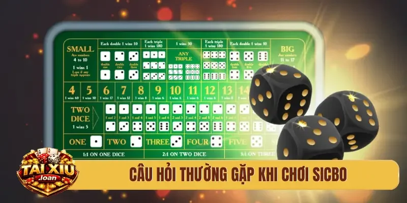 Câu hỏi thường gặp khi chơi sicbo