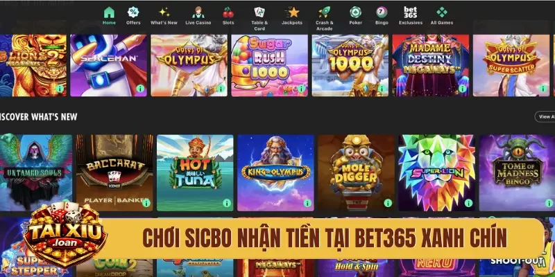 Chơi sicbo nhận tiền tại Bet365 xanh chín