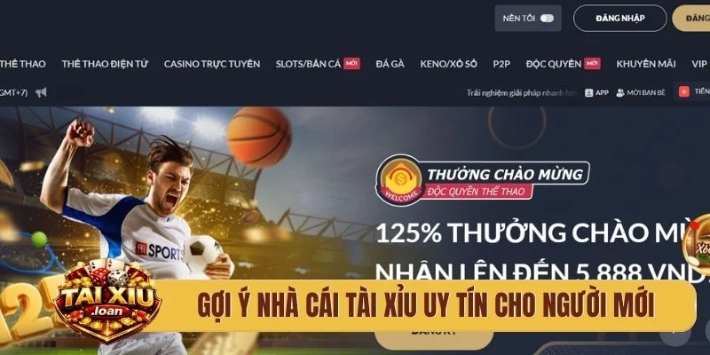 Gợi ý nhà cái tài xỉu uy tín cho người mới