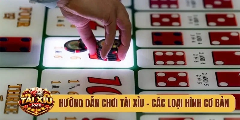 Hướng dẫn chơi tài xỉu - Các loại hình cơ bản