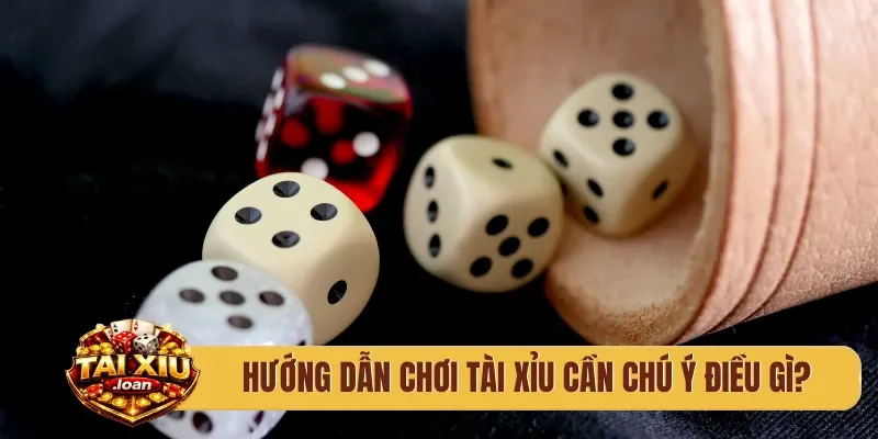 Hướng dẫn chơi tài xỉu cần chú ý điều gì?