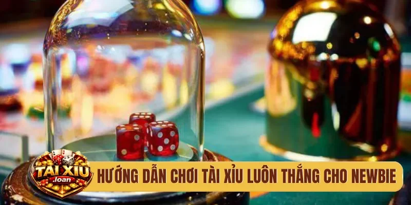 Hướng dẫn chơi tài xỉu luôn thắng cho newbie