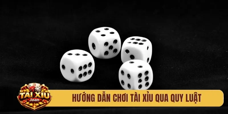 Hướng dẫn chơi tài xỉu qua quy luật