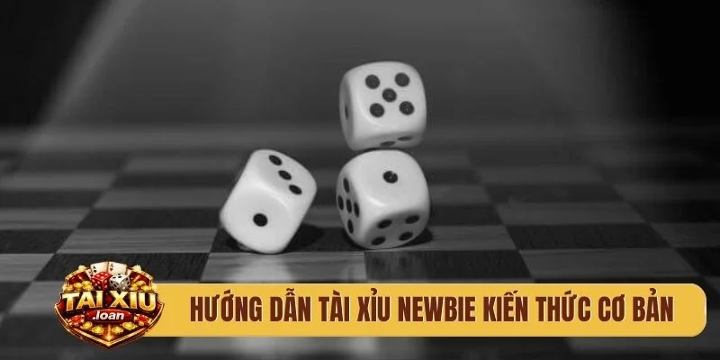 Hướng dẫn tài xỉu newbie kiến thức cơ bản
