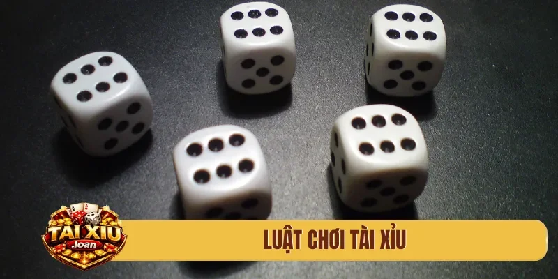 luật chơi tài xỉu