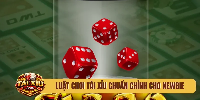 Luật chơi tài xỉu chuẩn chỉnh cho newbie