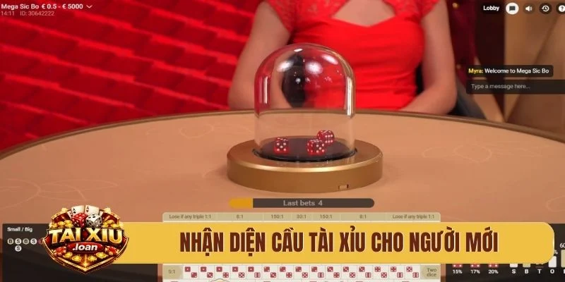 Nhận diện cầu tài xỉu cho người mới