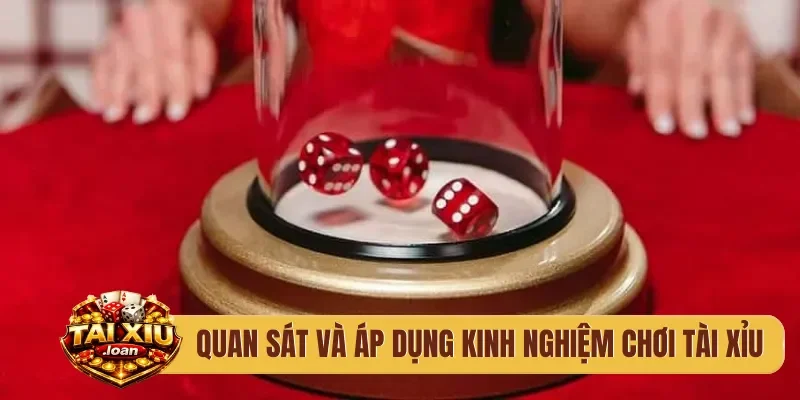 Quan sát và áp dụng kinh nghiệm chơi tài xỉu
