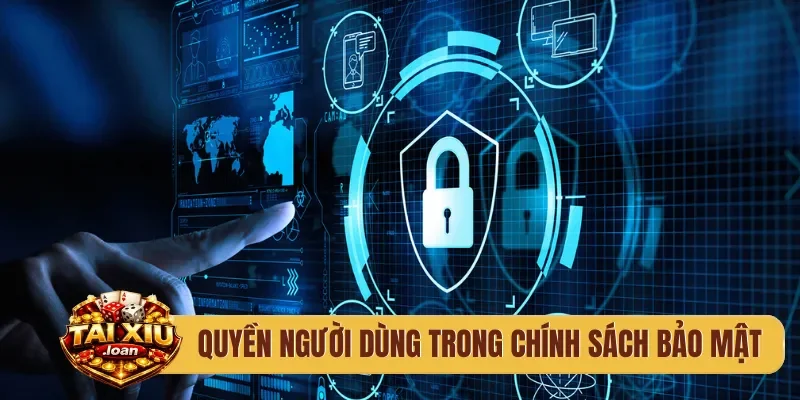 Quyền người dùng trong chính sách bảo mật