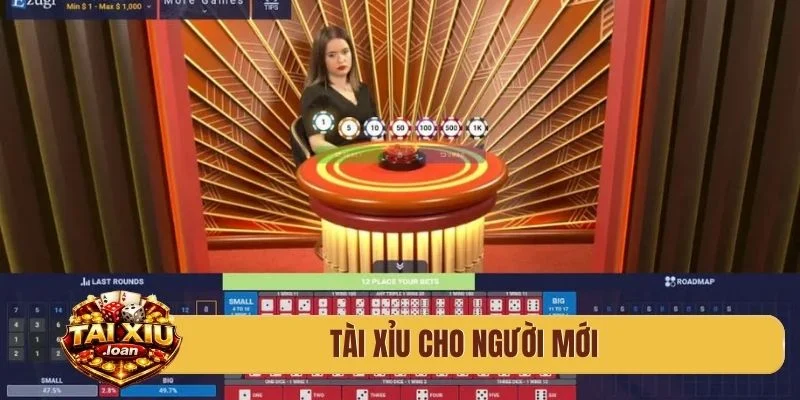 tài xỉu cho người mới