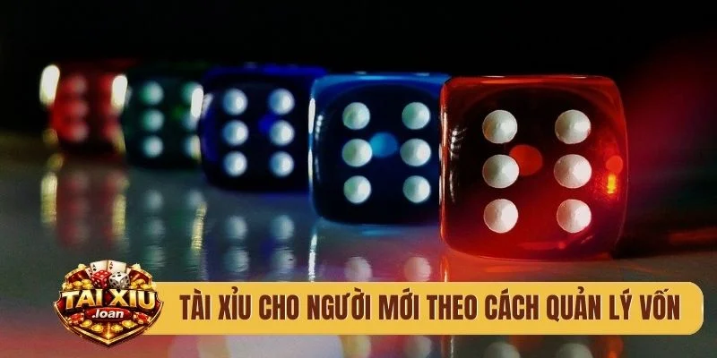 Tài xỉu cho người mới theo cách quản lý vốn