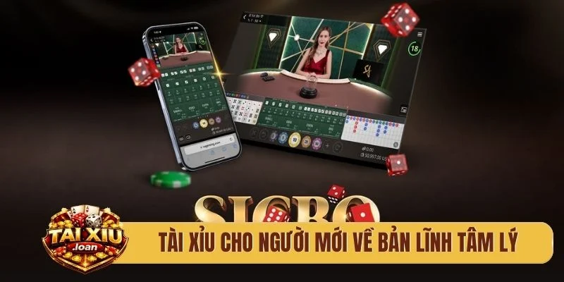 Tài xỉu cho người mới về bản lĩnh tâm lý