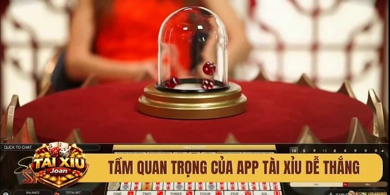 Tầm quan trọng của app tài xỉu dễ thắng