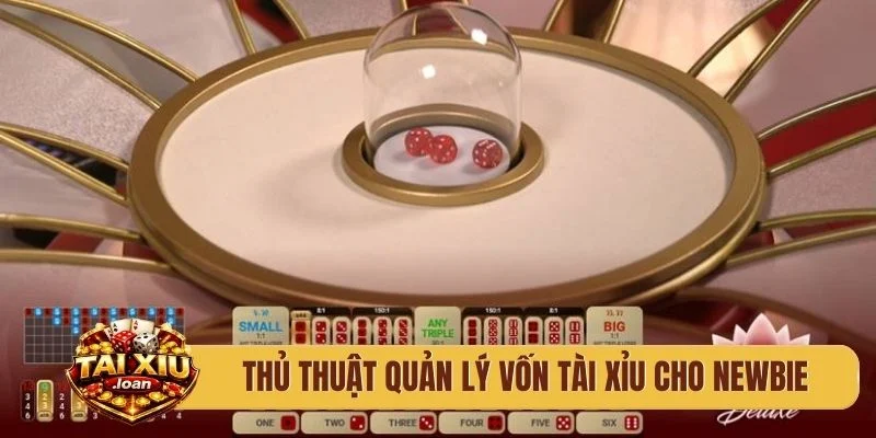 Thủ thuật quản lý vốn tài xỉu SV388 cho newbie