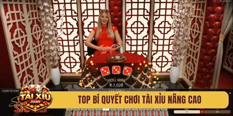 TOP bí quyết chơi tài xỉu nâng cao