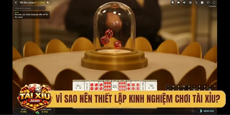 Vì sao nên thiết lập kinh nghiệm chơi tài xỉu?